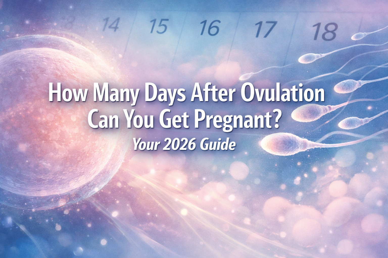 How Many Days After Ovulation Can You Get Pregnant?