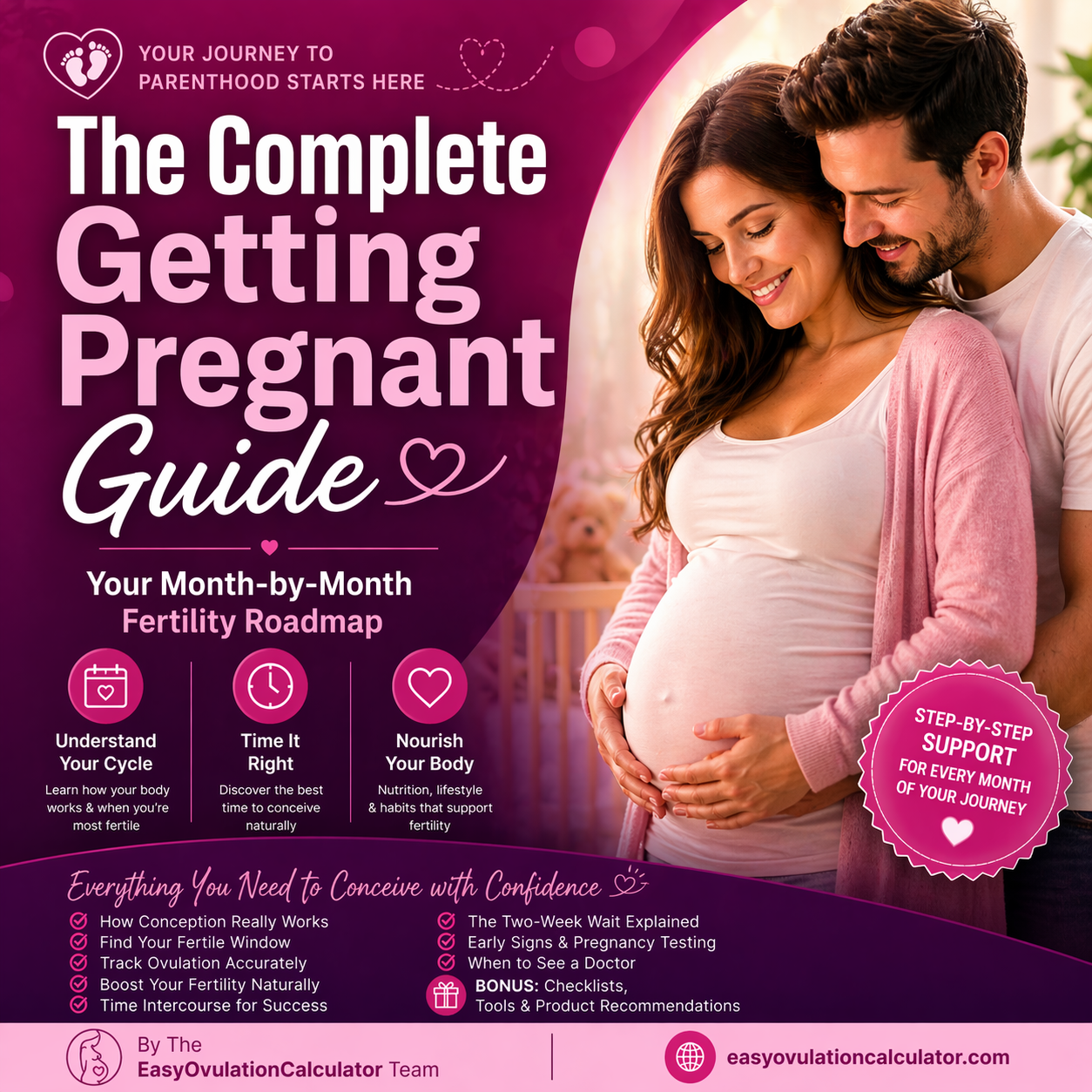 The Complete Getting Pregnant Guide ebook cover